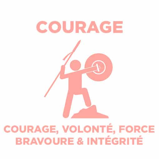 Courage volonté force bravoure et intégrité